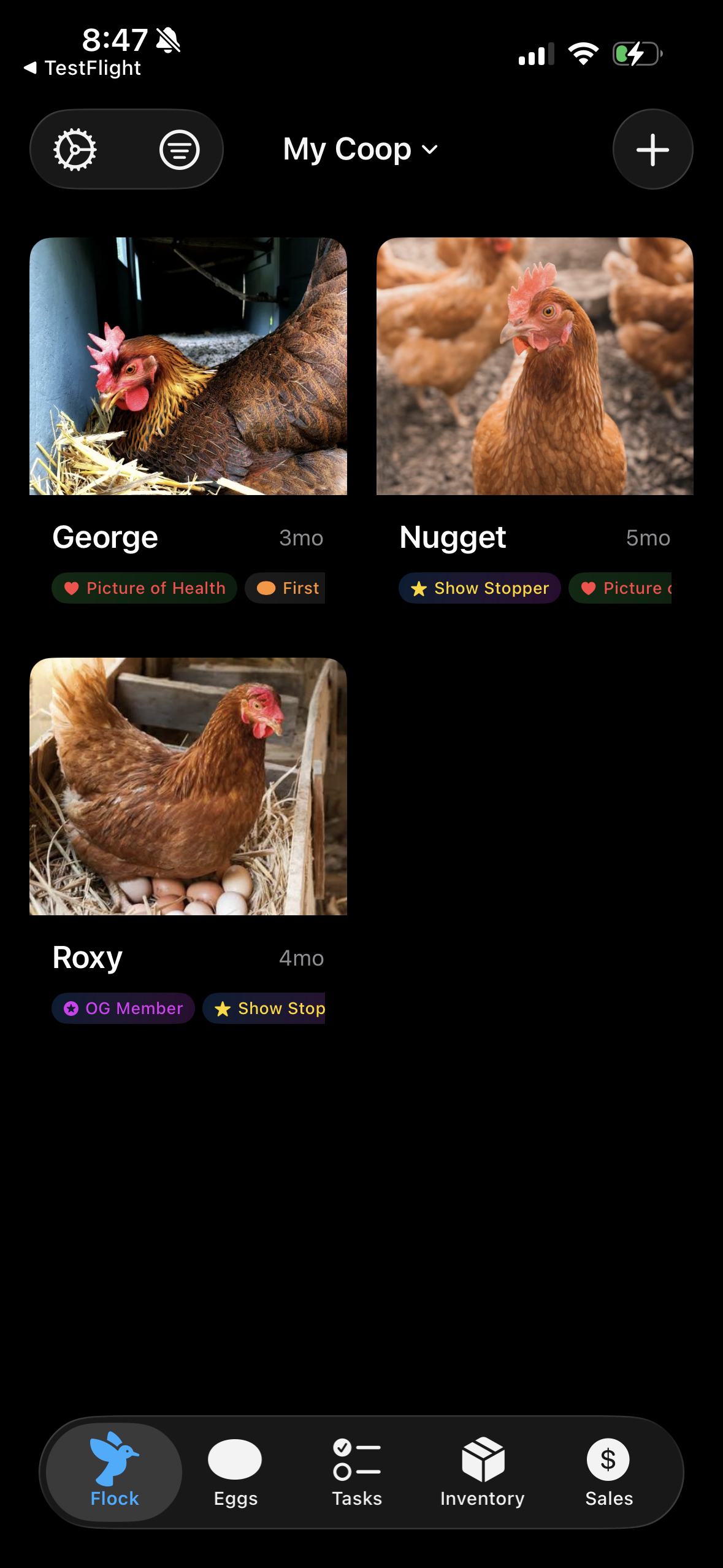 Henstead screenshot 1