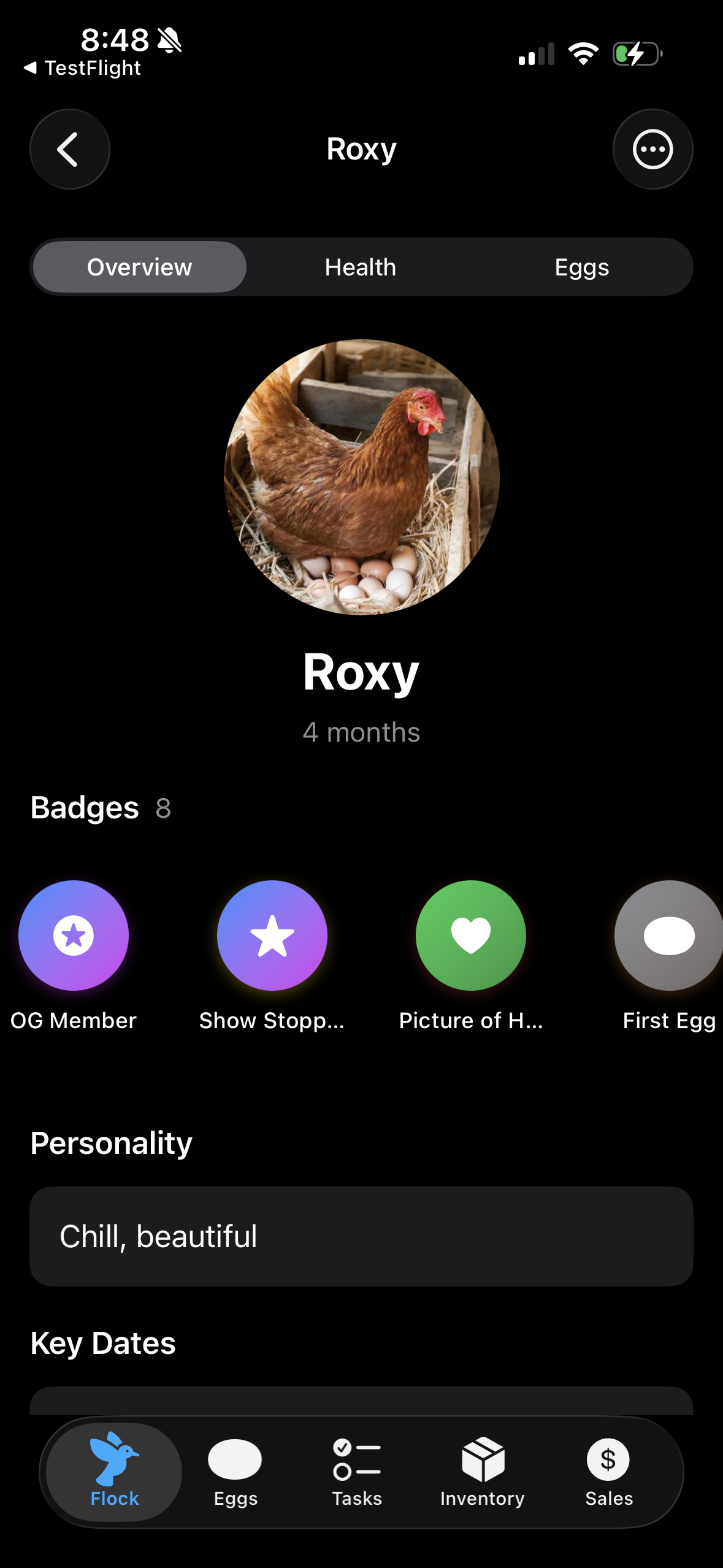 Henstead screenshot 4